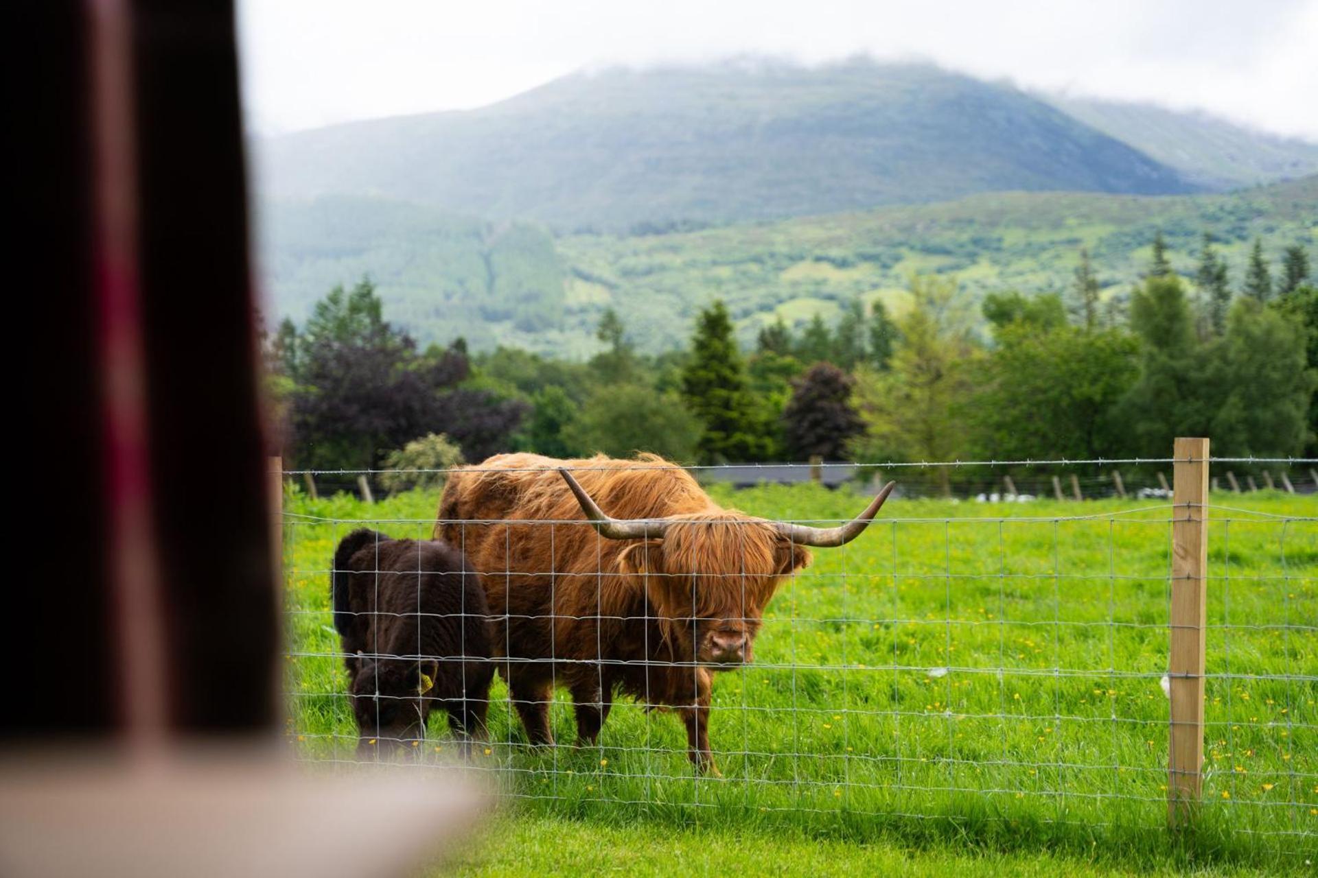 Ben Nevis Pod Villa Fort William Bagian luar foto